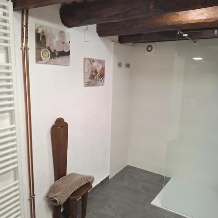 Cal Tonico Rural Country house Ribes De Freser